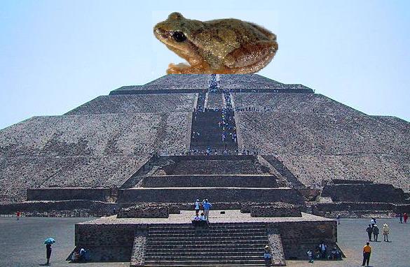 montagem: pirâmide do sol em Teotihuacan e peeper frog